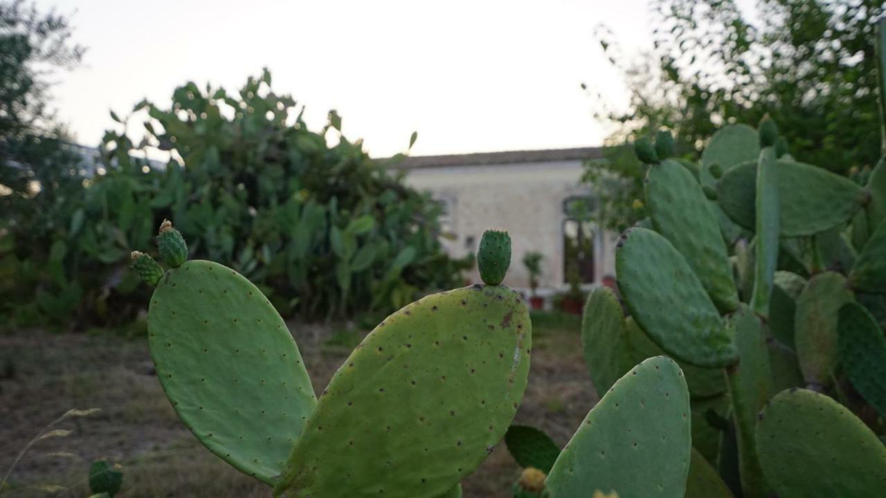 Agriturismo Gaia Villa Noto Exterior photo